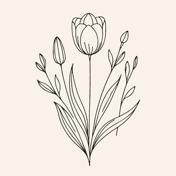recommend clip art: Adobe Illustrator Artwork
                    set of contour spring flowers
                    line art floral, leaves
                    black and white illustration tulip
                    set of decorative elements of tulip plants