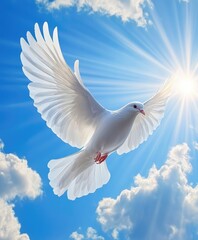 Fototapeta premium White dove soaring in the sky symbolizing hope and peace