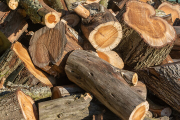 Pile of logs waiting to be chopped into firewood