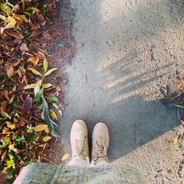 on an autumn walk through the leaves  in cout 