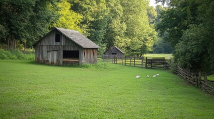 Fototapeta premium Peaceful Farm Scene with Barns and Ducks in Nature