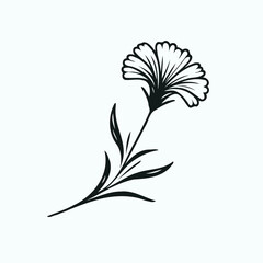 Obraz premium Adobe Illustrator Artwork set of contour spring flowers carnation line art floral, leaves black and white illustration marigolds set of decorative elements of plants Cosmos