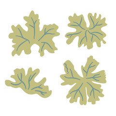 Fototapeta premium Set of geranium. Stylized leaves kit. Vector hand drawn flat collection illustration isolated on white background.
