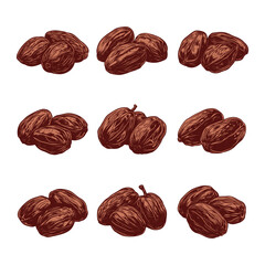 Dried dates clipart design illustration