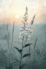 Obraz premium A serene sunrise scene with white flora in the foreground, accompanied by soft hues of blue and a gentle light.