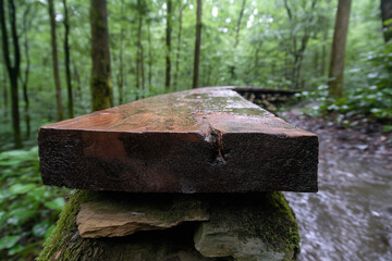 wooden bench in the forest
