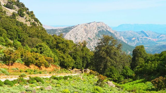 Gorropu canyon hiking trail path, hike to famous gorge in Sardinia with Sardinian mountains cliff nature forest landscape in summer of Italy