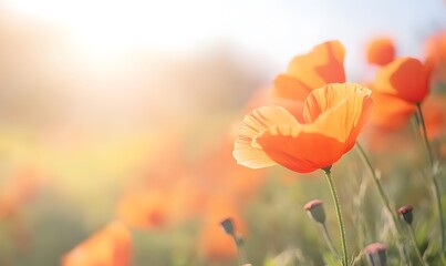 Obraz premium closeup of california poppies, Generative AI 