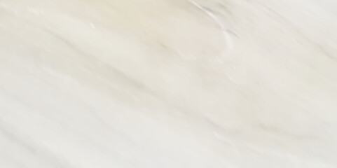 White wood old background texture. White Wood texture background. Timber light wood emerald wooden background with gray shadow border grunge texture design and wallpaper .