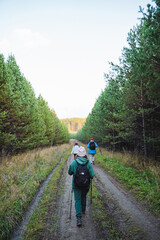 Obraz premium A group of enthusiastic hikers is joyfully exploring a beautiful and scenic forest path while enjoying the wonders of nature all around them