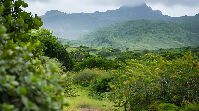 In the bushes on the road to chamarel greenery and closeup guave bushes