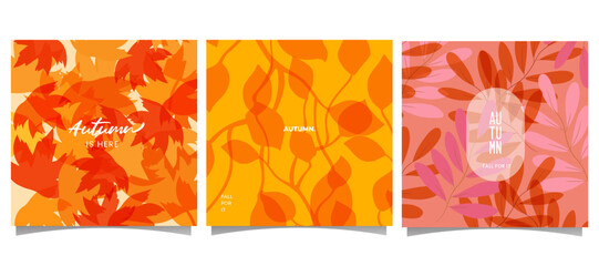 hello autumn poster template set for social media, Instagram, banners