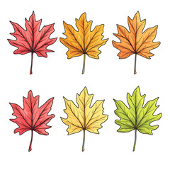 Vector maple leaf on white background