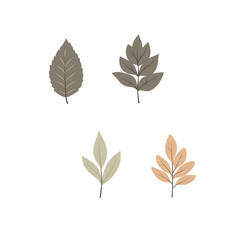 Vector leaves on white background