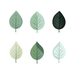 Vector leaves on white background