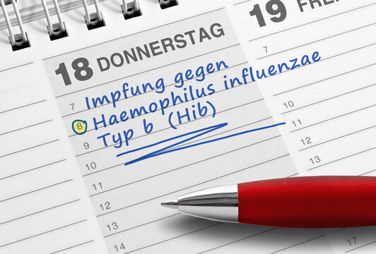 Impfung gegen Haemophilus influenzae Typ b (Hib), Termineintragung