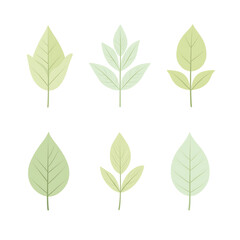 Vector leaves on white background