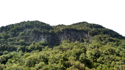View of tropical forest with rocky mountains on background, Adventure cut out transparent isolated on white background PNG file