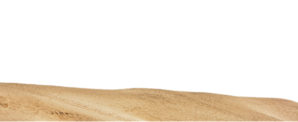 Dune of hot desert sand landscape isolated in a transparent background. Cut out or PNG. Sandy dunes stretch across the golden desert under a clear sky