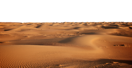 Dune of hot desert sand landscape isolated in a transparent background. Cut out or PNG. Sandy dunes stretch across the golden desert under a clear sky
