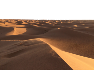 Dune of hot desert sand landscape isolated in a transparent background. Cut out or PNG. Sandy dunes stretch across the golden desert under a clear sky
