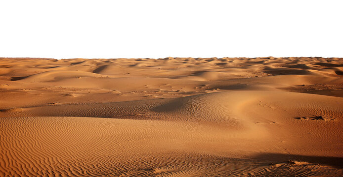 Dune of hot desert sand landscape isolated in a transparent background. Cut out or PNG. Sandy dunes stretch across the golden desert under a clear sky