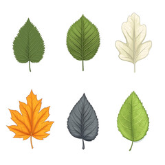 Minimalist style leaf vector on white background.