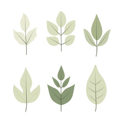 Minimalist style leaf vector on white background.