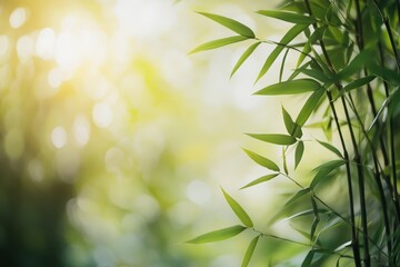 Bamboo Stem. Asian Aromatherapy: Green Bamboo Stems on Beautiful Blurred Background