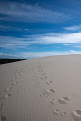 empreintes de pas sur la dune du pylat