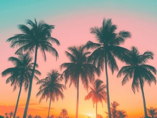 isolated coconut palm trees against a vibrant tropical sunset, with silhouettes of the trees contrasting the warm orange and pink hues of the sky, invoking a sense of tranquility and paradise