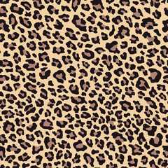 leopard spots. vector print for clothes or print   