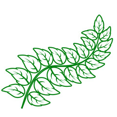 contour collection different green leaves of tree, plants, leaf and swirls branches. Stock vector icon, isolated white background. Element for ecographic, natural design, vegan logo, bio labels