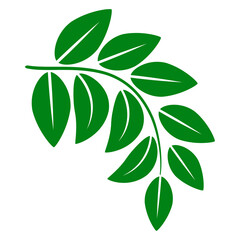 shape collection different green leaves of tree, plants, leaf and swirls branches. Stock vector icon, isolated white background. Element for ecographic, natural design, vegan logo, bio labels