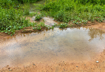 springs coming to the surface and spreading over the surface of the roadway