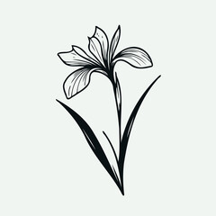 set of contour spring flowers
line art floral, leaves
black and white illustration iris
set of decorative elements of plants stylized