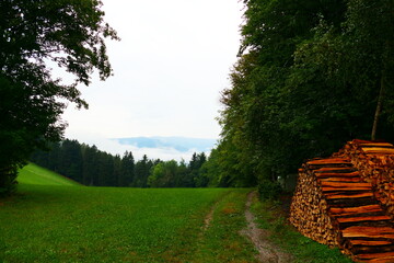 Wanderwege in der buckligen Welt!