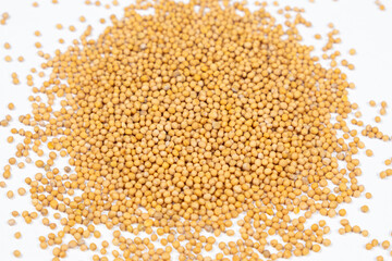 Mustard seeds on white background, natural organic seasoning, top view.