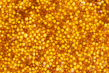 French Dijon mustard background, close-up, top view.