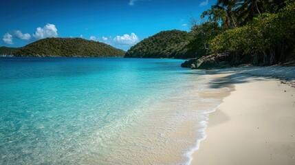 Fototapeta premium A pristine white sand beach with crystal-clear turquoise waters, gently lapping at the shore, framed by swaying palm trees under a bright blue sky.