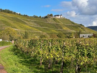 On top of a mountain in the Eifel lies Castle Marienburg, with vineyards on the slopes. 