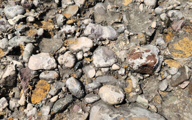 Texture of conglomerate rocks near a river bed
