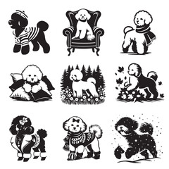 Set of Bichon Frise Dog vector illustration - Bichon Frise Dog Different Activities Clipart Design