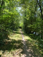 Fototapeta premium Lac de la Vouraie vendée