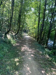 Fototapeta premium Lac de la Vouraie vendée