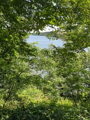 Lac de la Vouraie vendée