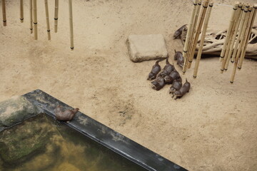 Zoo w Łodzi.