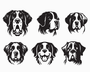 Collection of Saint Bernard Dog Face vector illustration - Saint Bernard Dog clipart Design in black and white
