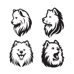 Collection of Samoyed Dog Face vector illustration - Samoyed Dog Logo Design 