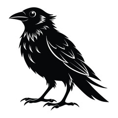 Bird logo sihlouette icon 